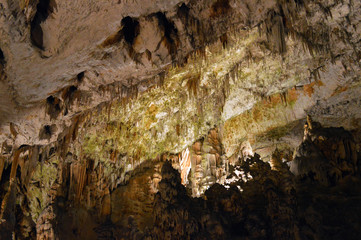 Postojna Höhle