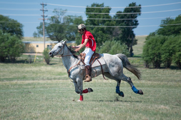 Polocrosse Action Shot