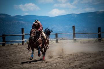 Cowboy Gallops Horse