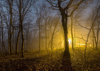 Fototapeta na wymiar Night spring forest. A thick night mist, light from a lantern and the moon. Full moon. Mysteriousness.
