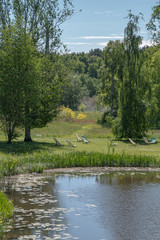 place for rest in park