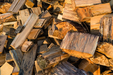 Cut trunks, a pile of firewood, a closeup shot, wood background.