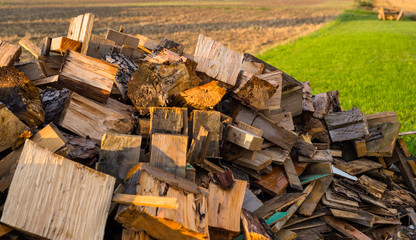 Cut trunks, a pile of firewood lying behind the house in the field.