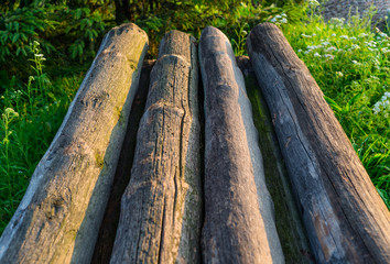 A pile of cut tree trunks lying alongside each other, with green plants in the background.