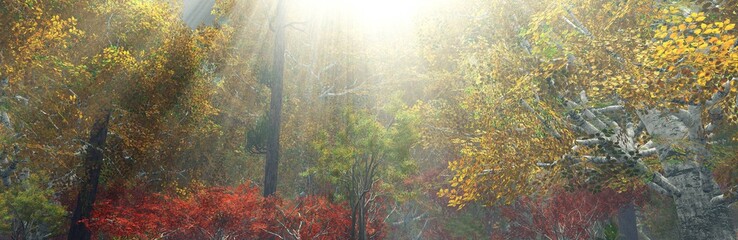 Naklejka premium autumn forest in the morning in the fog. autumn trees in the fog. 