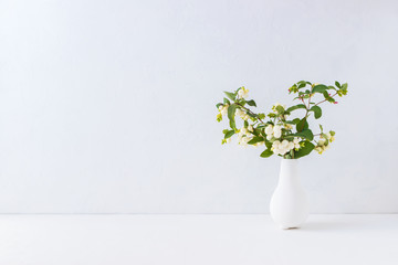 Branch with green leaves in a vase