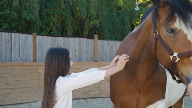 Pretty young girl comes to horse and caressing it on hippodrome