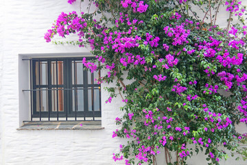 Fototapeta na wymiar Typical white Mediterranean house, in the village of Cadaques, on the Costa Brava of Spain
