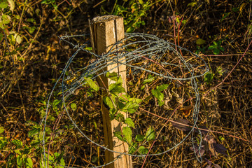 Barbed wire
