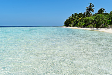Maldivian beach with crystal clear water.