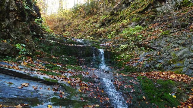 The mountain river flows over rocks in autumn forest at amazing sunny day