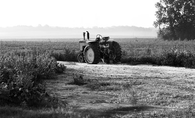Un B&amp W d& 39 un tracteur agricole d& 39 époque sur le terrain tôt le matin.