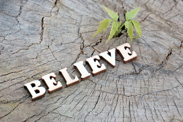 The word BELIEVE folded from the wooden letters on the old stump beside the young green sprout. The concept of nature protection ecology. Copy space for design.