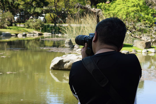 photographer takes pictures of nature near the river in summer in the park