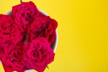 Arrangement from a cup for tea with roses on a yellow background