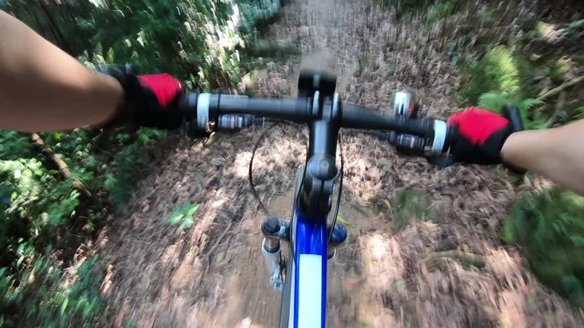 Mountain biking in a forest. POV point of view  4k video with sound