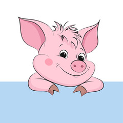 Cute little pig. Cartoon vector character