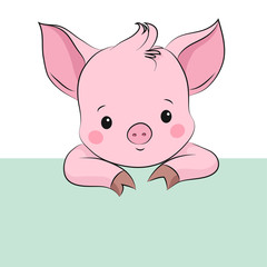 Cute little pig. Cartoon vector character