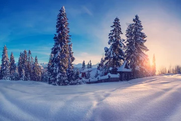 Photo sur Plexiglas Hiver Winter landscape