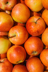 Red fresh ripe apples close up in the supermarket. Fruits harvest. Food