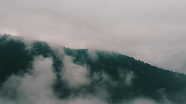 Mtirala national parak in country georgia