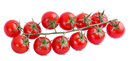 Fresh tomato branch isolated on white background with clipping path