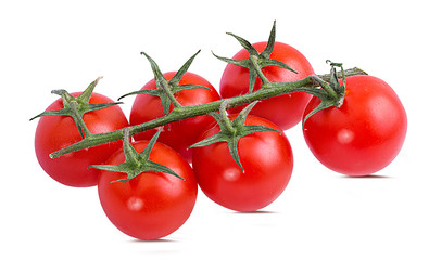 Fresh tomato branch isolated on white background with clipping path