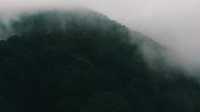 Mtirala national parak in country georgia