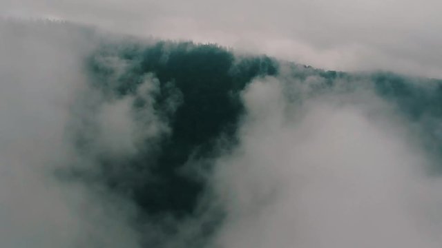 Mtirala national parak in country georgia