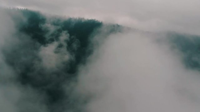 Mtirala national parak in country georgia