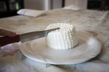 Formaggio fresco primo sale