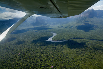 Aerial view of jungle from plane