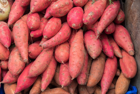 Organic Red Yams For Sale At City Market