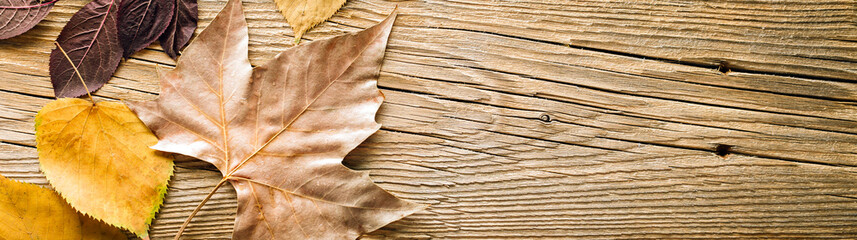 Golden Autumn, frame, fallen leaves, wooden background, concept, copy space, long banner