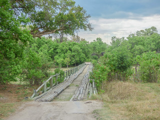 View of a handmade bridge, Botswana
