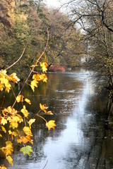 Fluss im Herbst