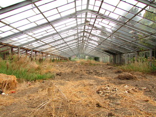 Naklejka premium Greenhouse
