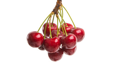 cherries isolated