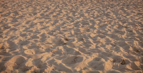 Fototapeta na wymiar closeup of sand of a beach , close up view beach sand background
