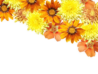 Beautiful floral background of yellow and orange flowers 
