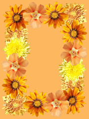 Beautiful floral background of yellow and orange flowers
 
