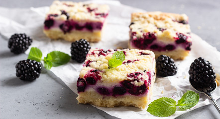 Cheesecake bars with blackberries and streusel with mint leaves on a white baking paper.