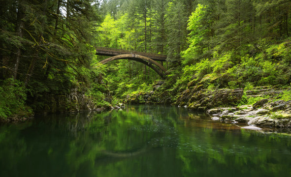 Bridge over Lewis River in Moulton Falls State Park in Yakolt, WA.