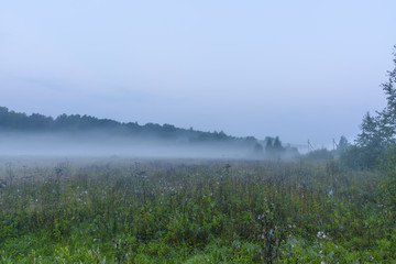 Obraz na płótnie Canvas Drive out of town on a foggy autumn morning.