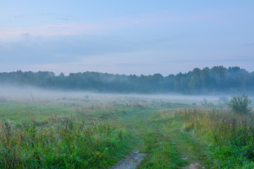 Fototapeta premium Drive out of town on a foggy autumn morning.