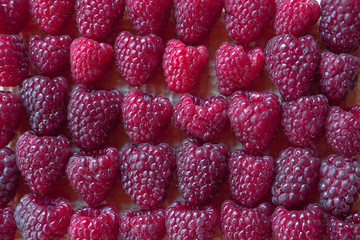 Red rose berry raspberries on wafers background. Sweets for vegetarians. Eco-friendly dessert. Stock photos