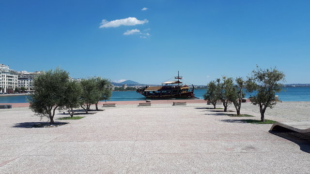 caicco tra le piante