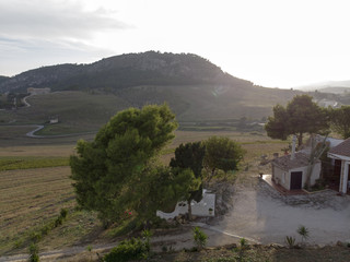 Paesaggio rurale e tempio di Segestra