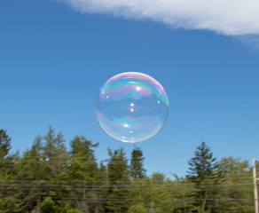 Giant bubble floats above trees in clear blue sky, no people, summer.