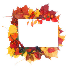 Autumn leaves frame